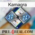 Kamagra viagra5